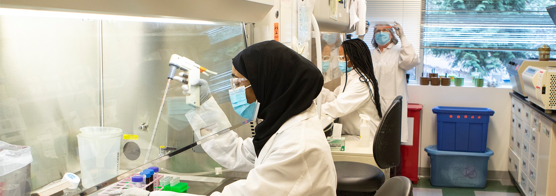 Two scientists in the Boeckh Lab process blood samples at biosafety cabinets  in the Boeckh Lab