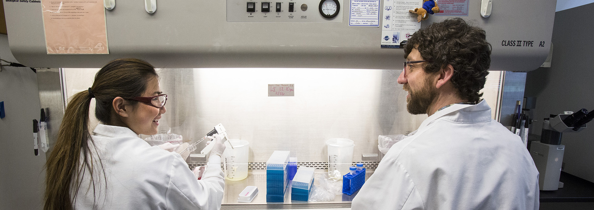 Two scientists exchange a smile while working in a biosafety cabinet together  in the Boeckh Lab