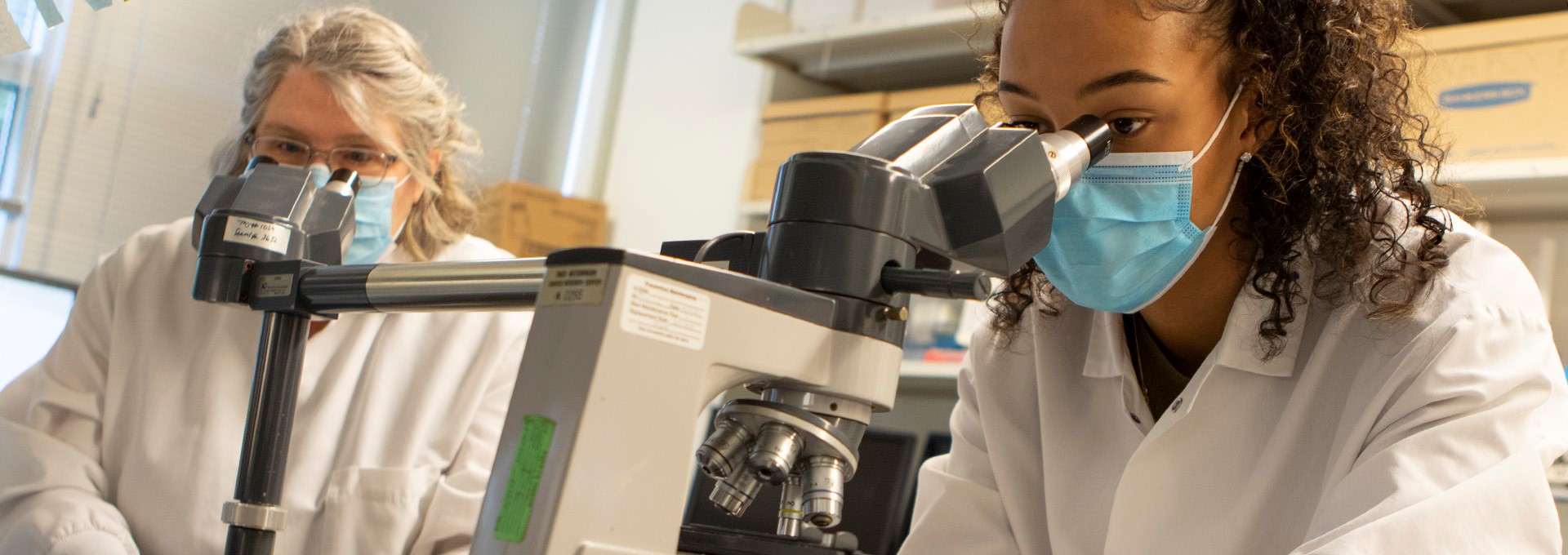 Two scientists look at a sample under a microscope in the Boeckh Lab