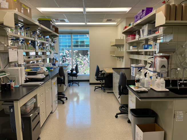 What Is A Lab Bay The Lab