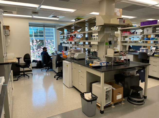 What Is A Lab Bay The Lab
