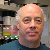 Gregory "Greg" Wipf