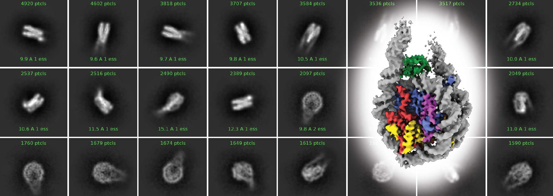 Protein structure captured using Cryo-EM