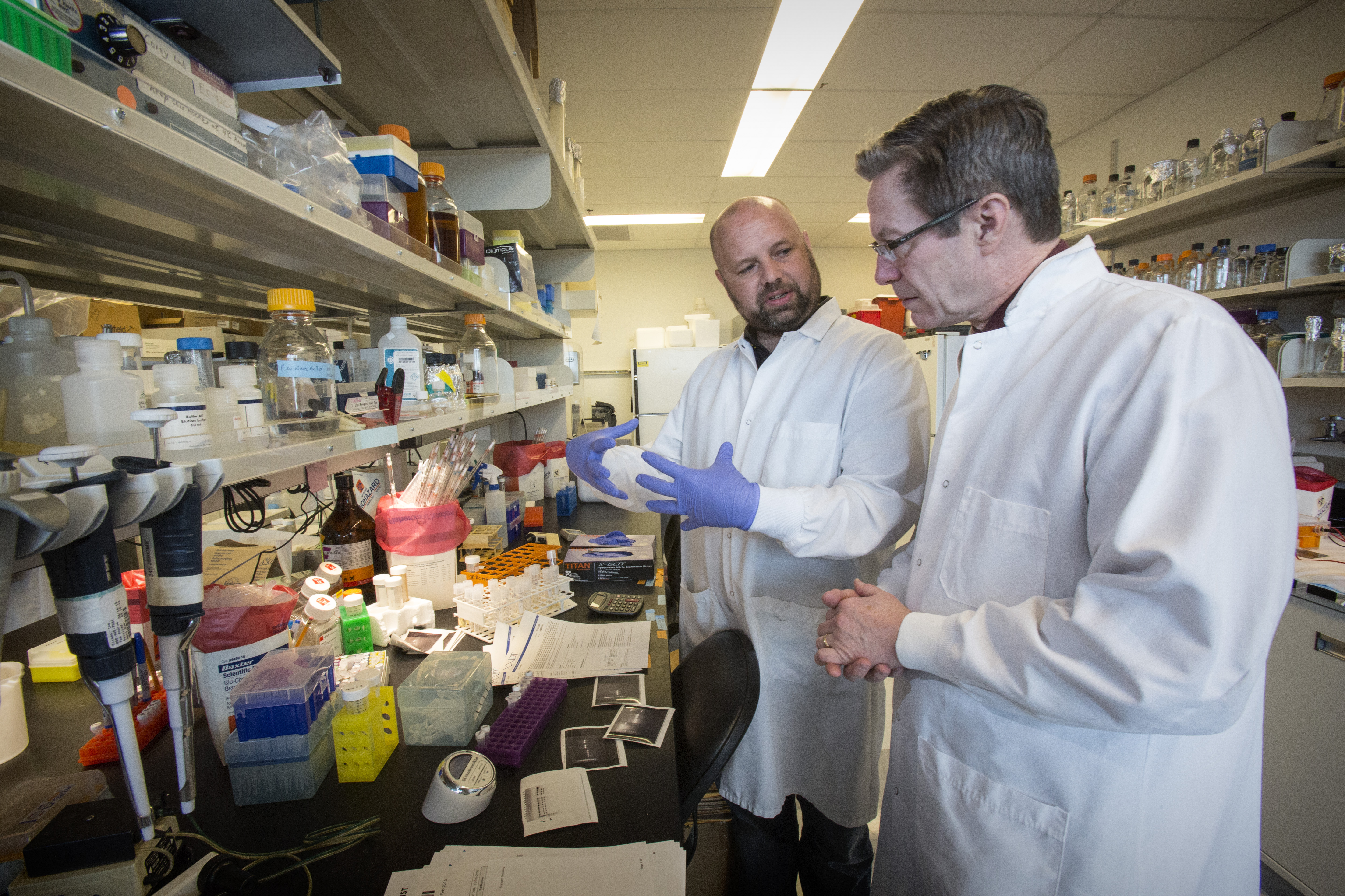 Jerome Lab - Daniel Stone