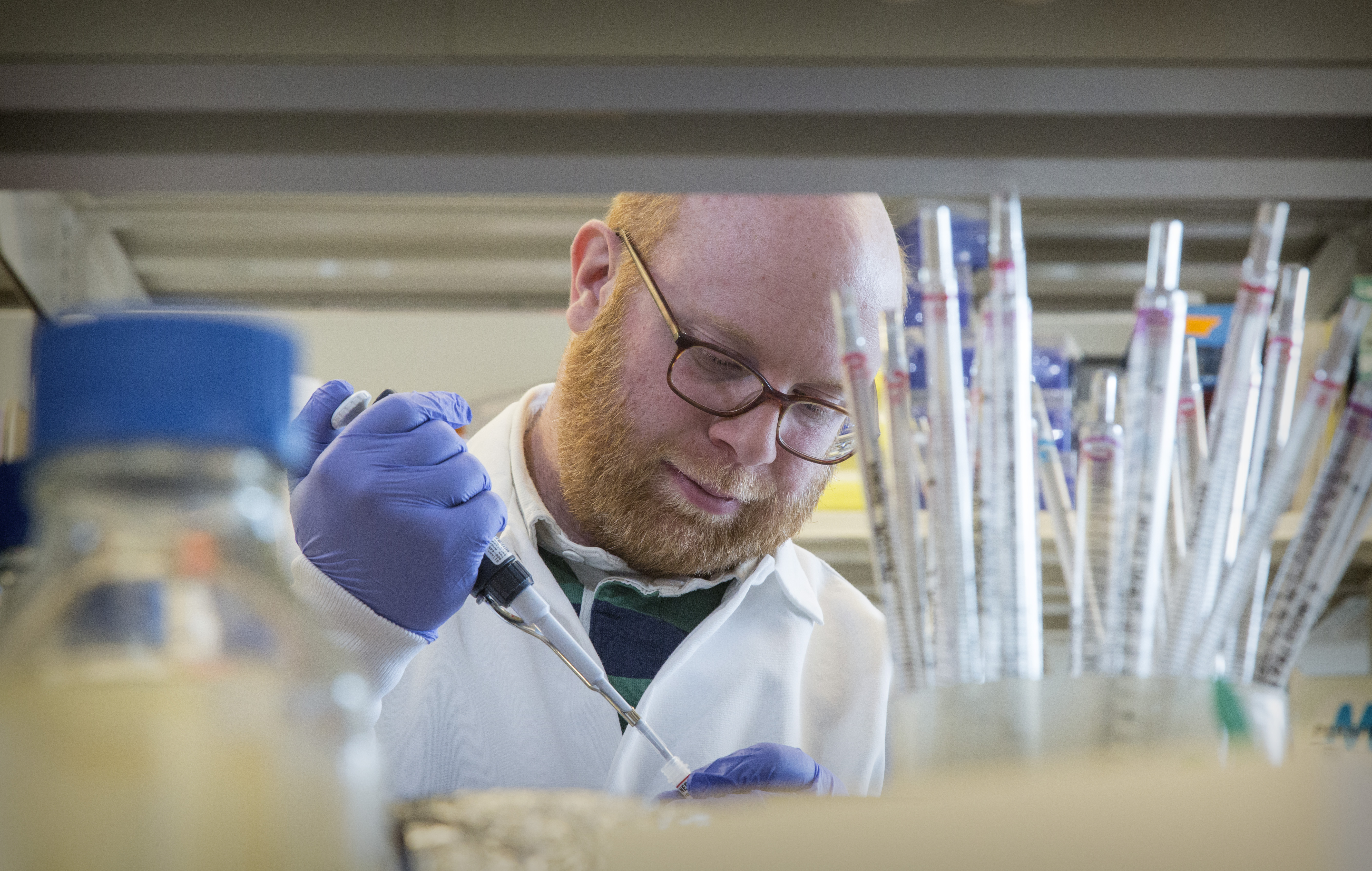 Jerome Lab - Daniel Strongin