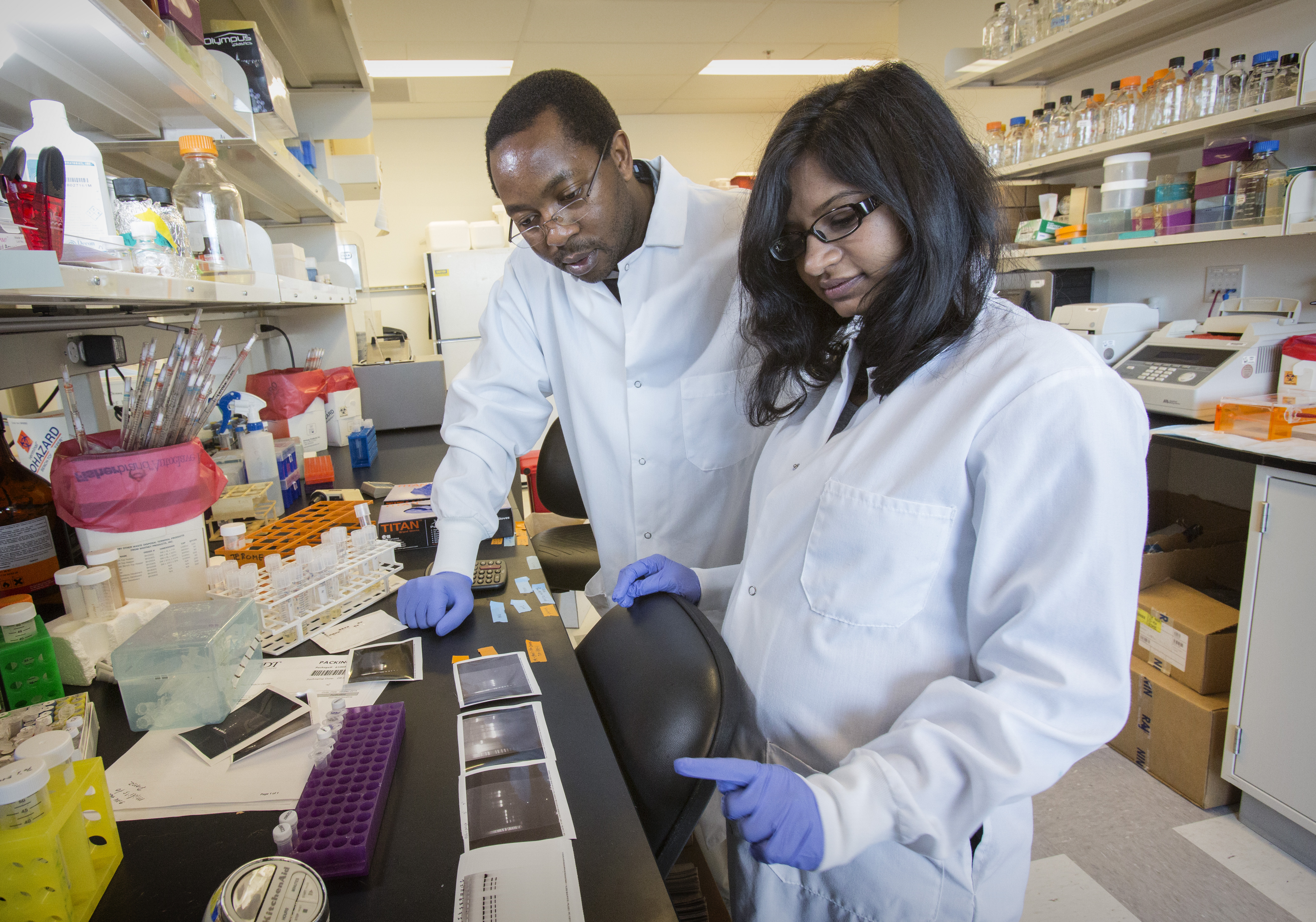 Jerome Lab - Harshana De Silva Feelixge