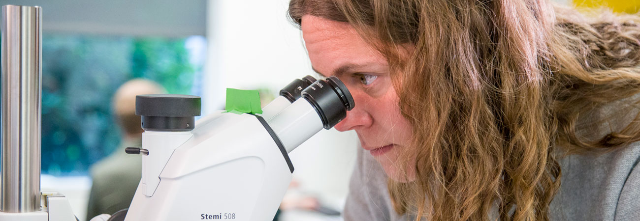 Jen Adair working with microscope