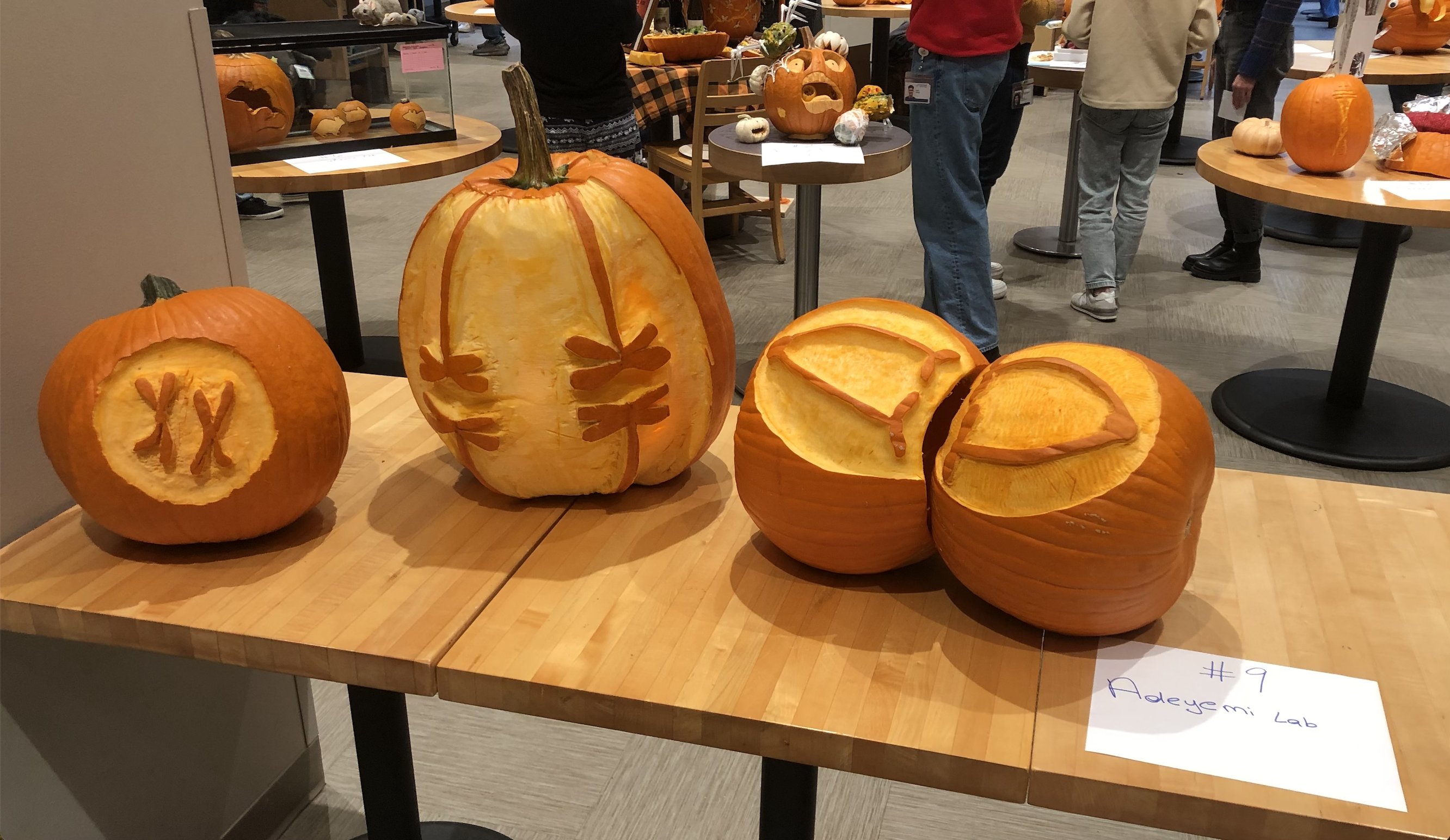 Pumpkins