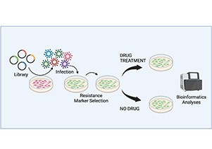 genomic maintenance graphic