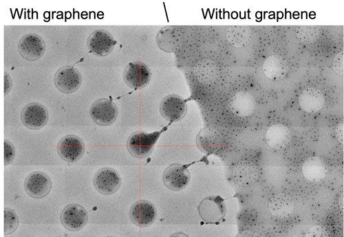 Graphene grid