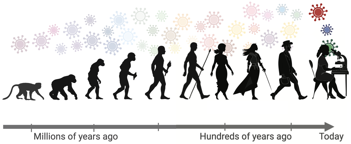 PaleoTimeline