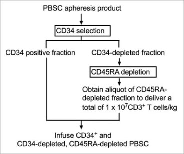 Cell collection procedure