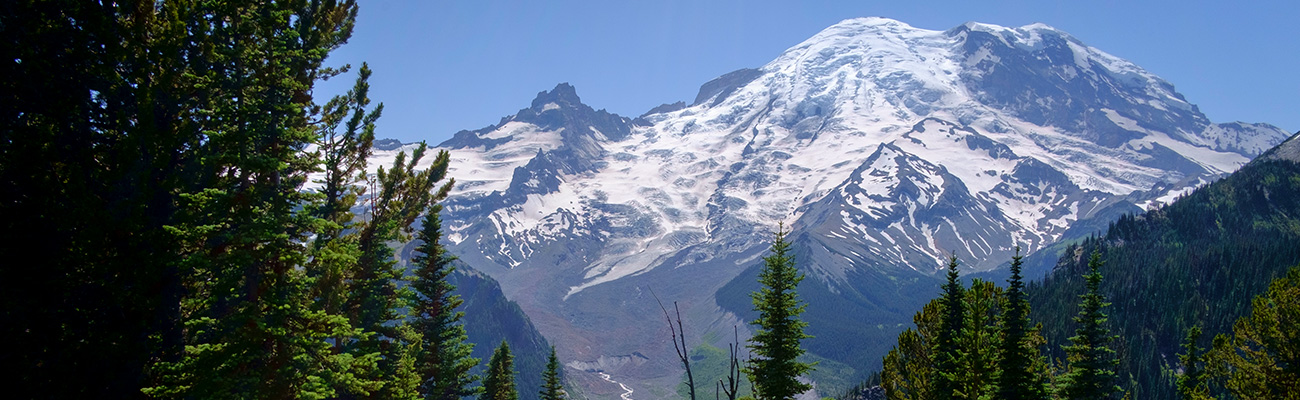 Mt. Rainier