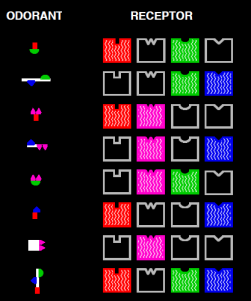 Odorant and Receptor Chart