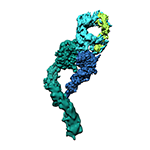 Conformational snapshots of αvβ8 integrin bound to L-TGFβ  