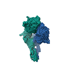 Conformational snapshots of αvβ8 integrin bound to L-TGFβ  
