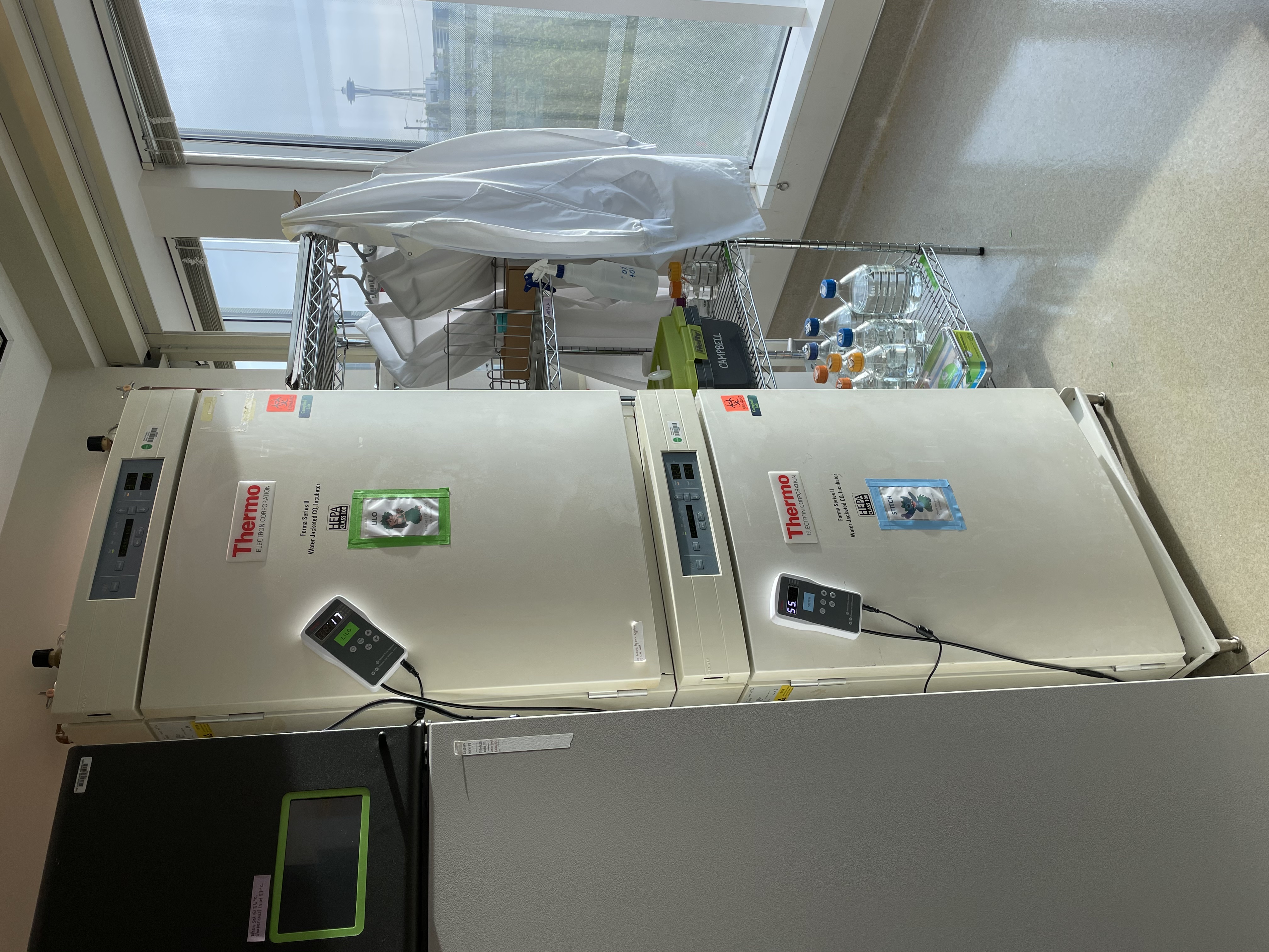 tissue culture room 2