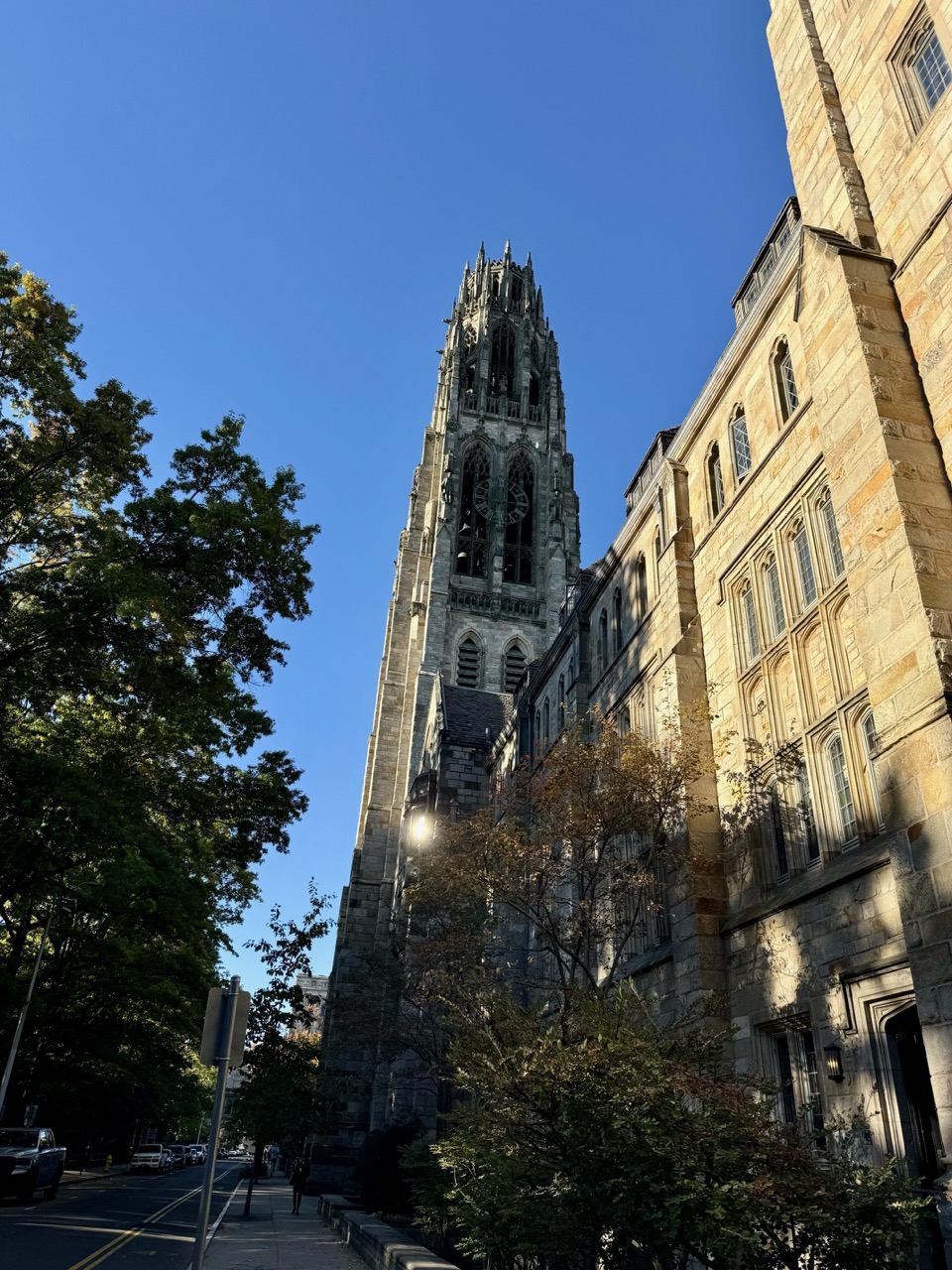 yale