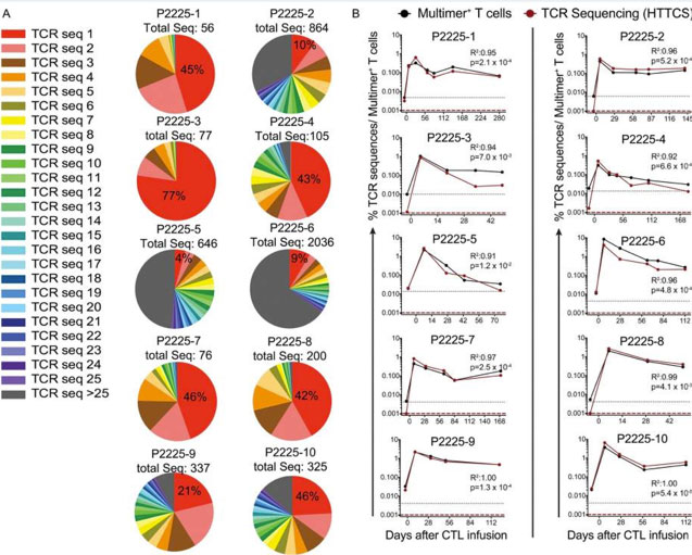 T cell clonotype frequencies are determined in HTTCS and pMHC multimer binding assays