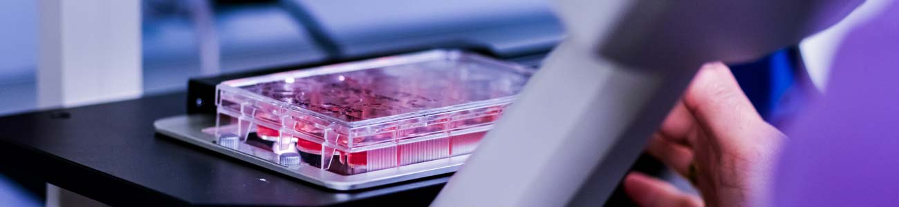 Researcher examining samples with microscope