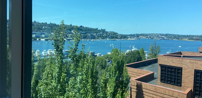 Lab with a view of the lake