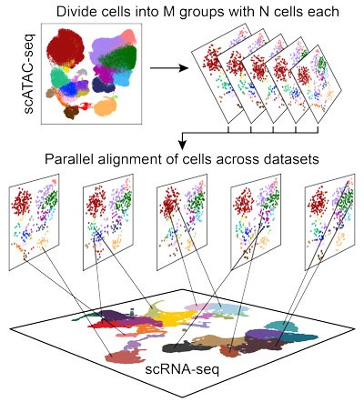 ArchR scRNA Integration