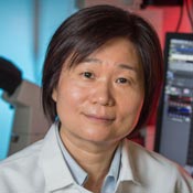 Jia Zhu, PhD