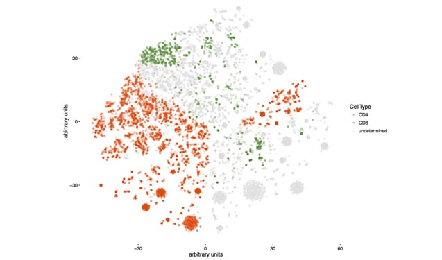 Cluster analysis of RNA transcripts among CD8+ and CD4+ T cells