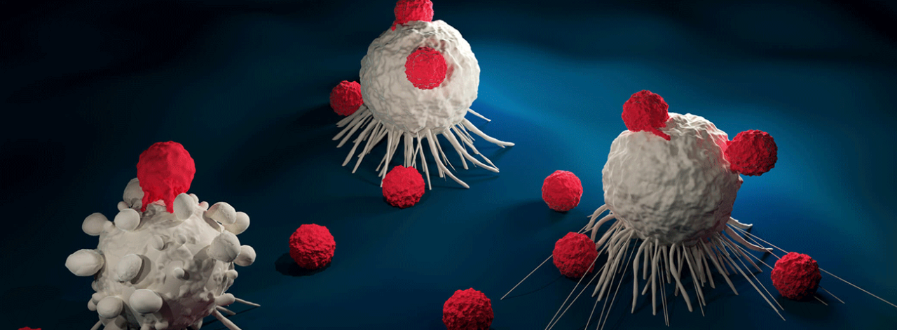 illustrative graphic of car-t cells