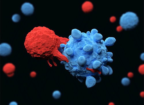 Illustration of car-t cells targeting cancer cells