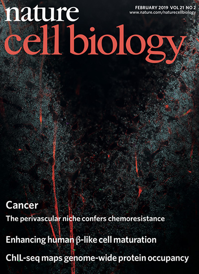 Nature Cell Biology cover 2019