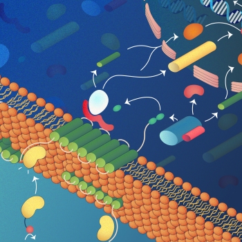 Developmental Signaling Pathways