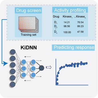 Artificial intelligence applied to predict drug response 