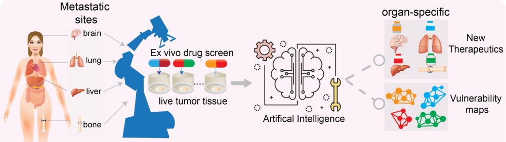 Targeting Metastases