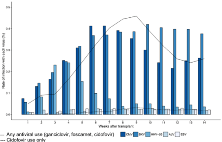 Graph demonstrating the clinical implications of multiple viral infections on transplant outcomes