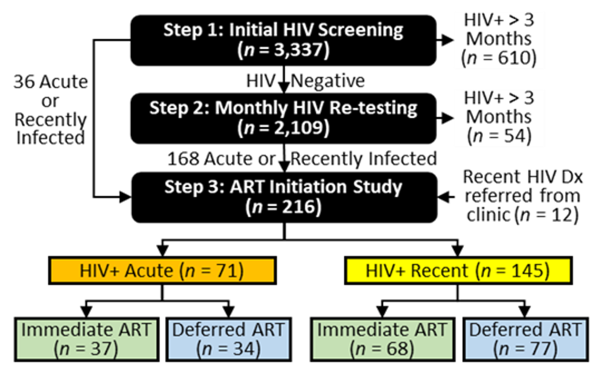 Flowchart of Sabes study steps