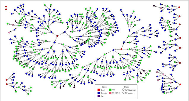 Investigating the role of sexual networks and alcohol use in HIV transmission networks in Lima, Peru