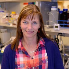 Ilona Larson, Ph.D.