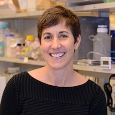 Gail Cromer, M.S.