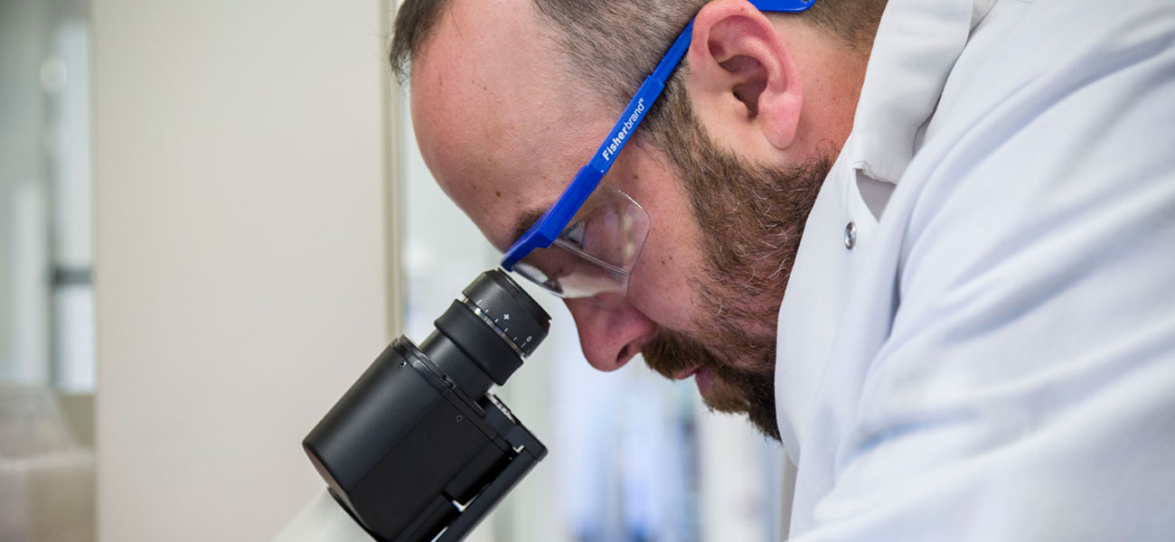 Dr. Andy McGuire looks in the microscope while doing lab work