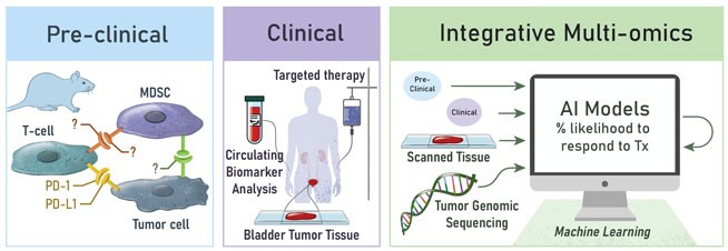 Optimizing the Therapeutic Approach
