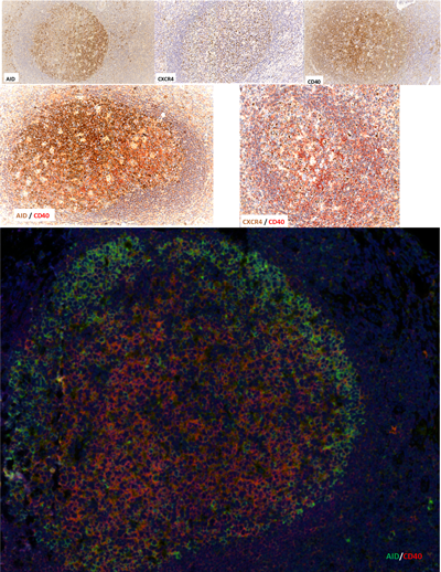 Figure 15