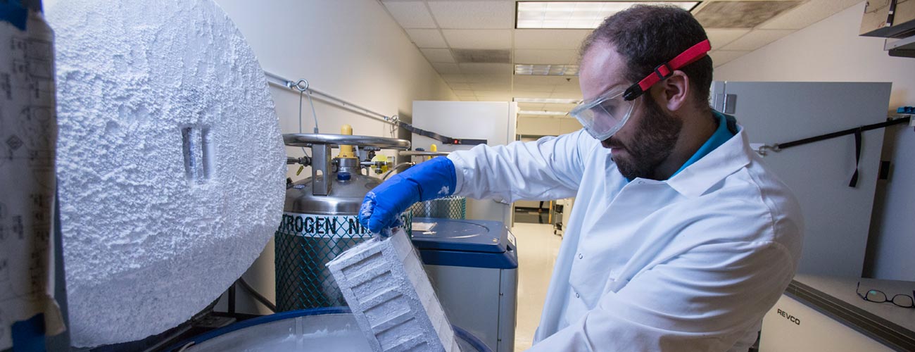 Researcher working in the J Lee Nelson Lab