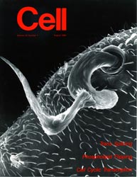 Cell cover