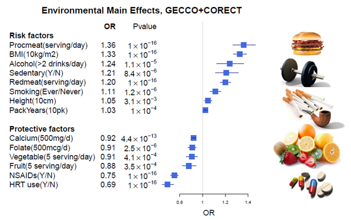 GXE graph