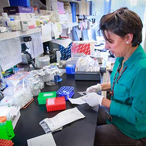 A scientist at work in the Radich Lab.