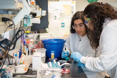 Researchers working in Salama lab