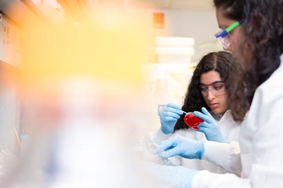 Researchers working in Salama lab