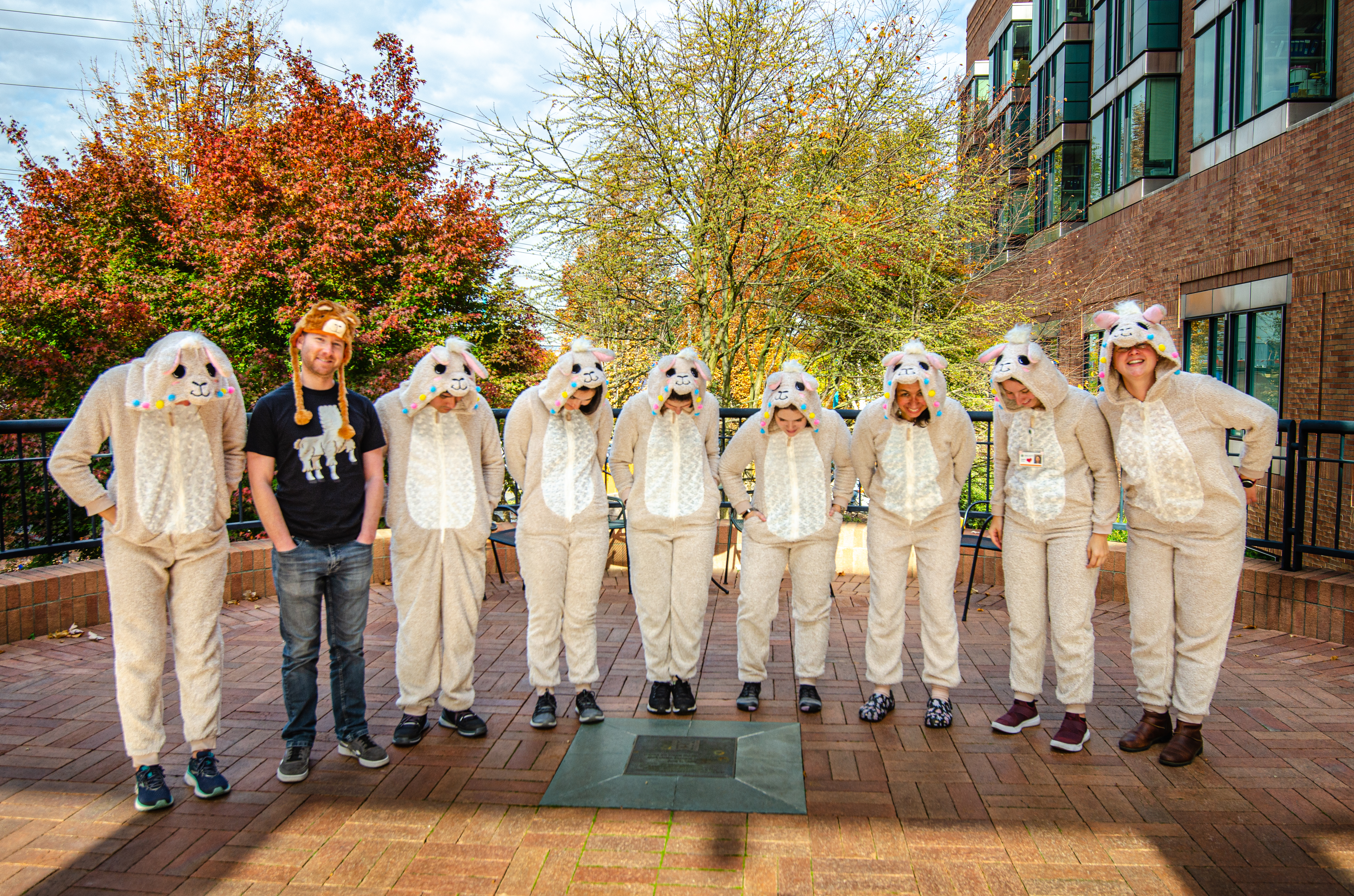 group in llama onesies