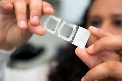 Researcher working in the Salama lab